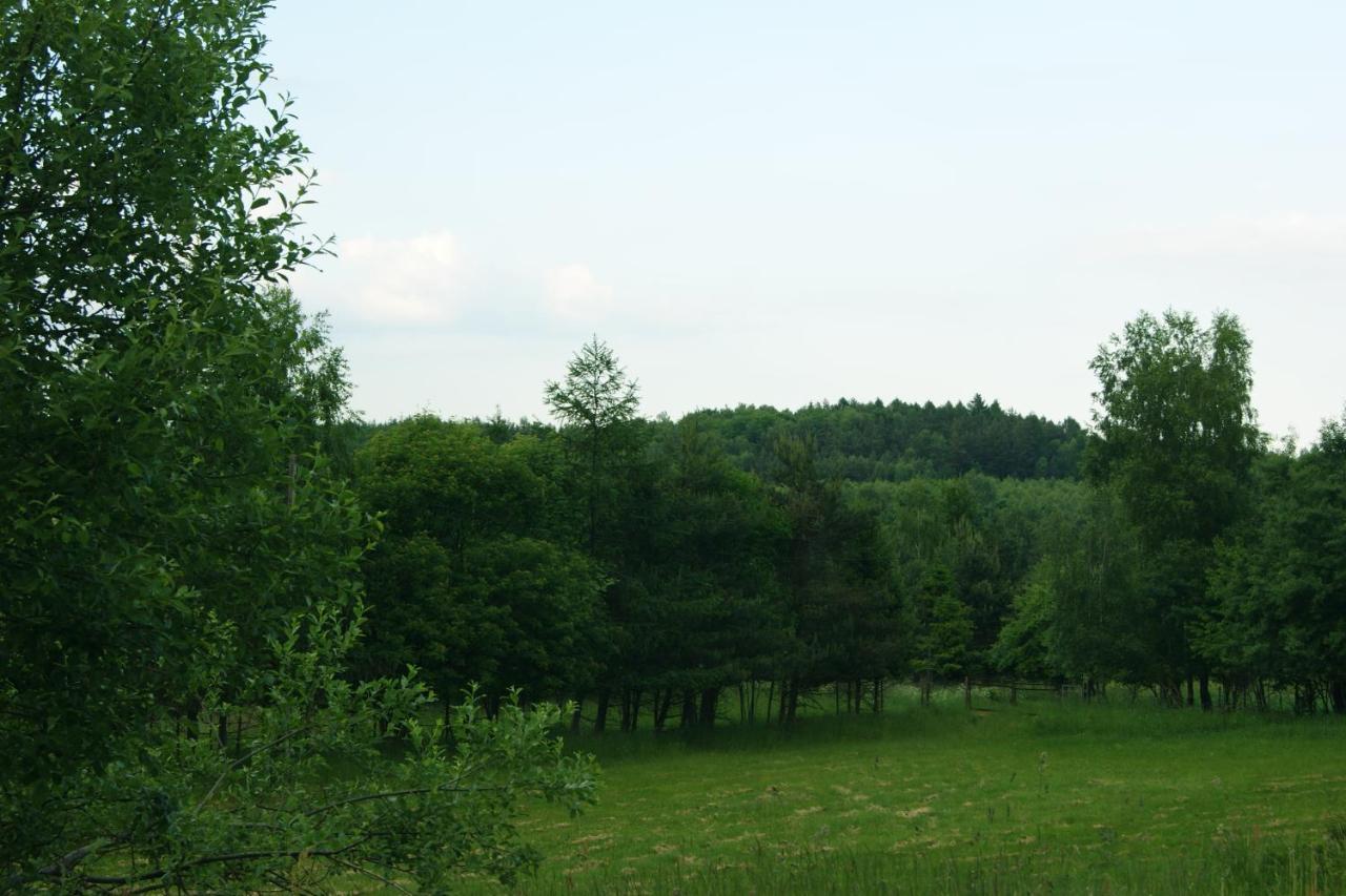 Siedlisko Blotnia Villa Mierzeszyn Luaran gambar