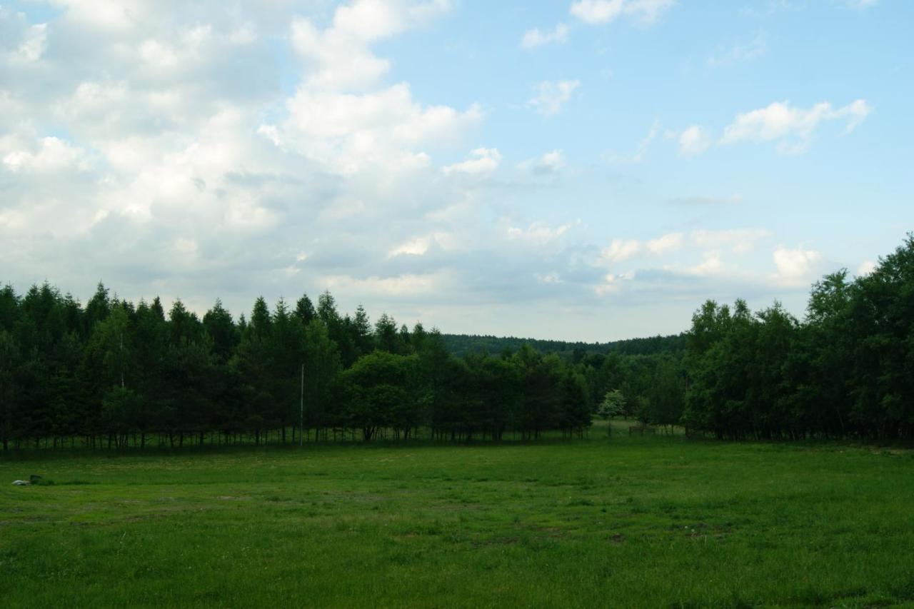 Siedlisko Blotnia Villa Mierzeszyn Luaran gambar