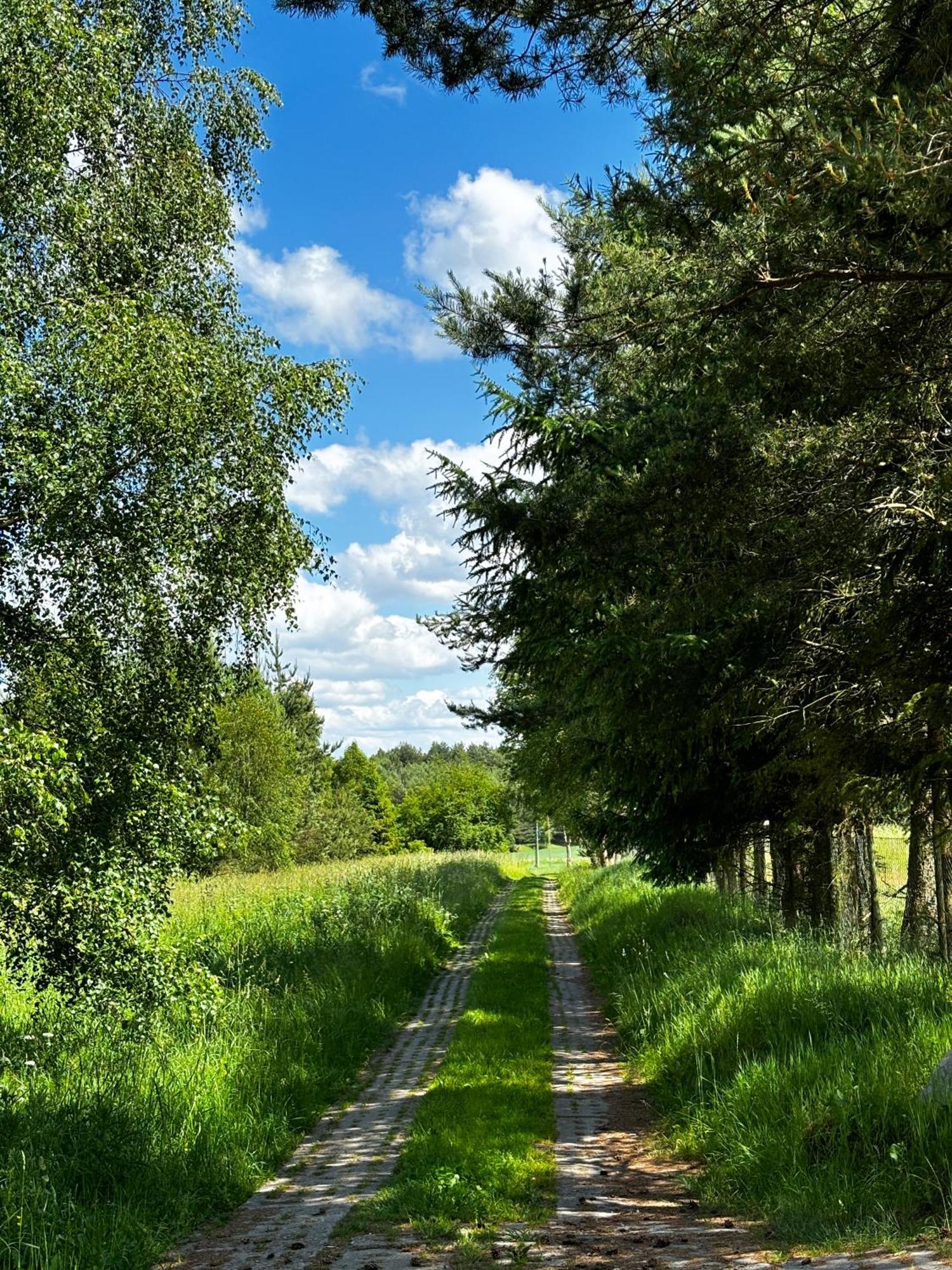 Siedlisko Blotnia Villa Mierzeszyn Luaran gambar